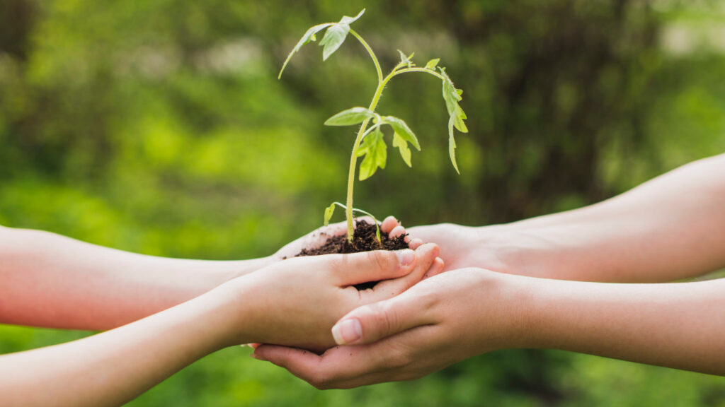 USLUGA OSOBNOG ASISTENTA